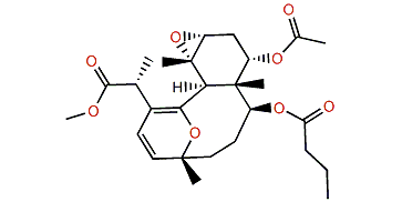 Briareolate ester C